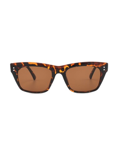 160-2- Tartaruga - Marrone