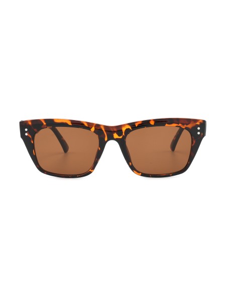 160-2- Tartaruga - Marrone