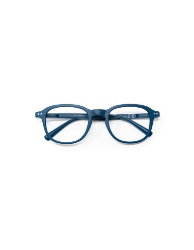 Dakota - Kit of 24 Reading Glasses