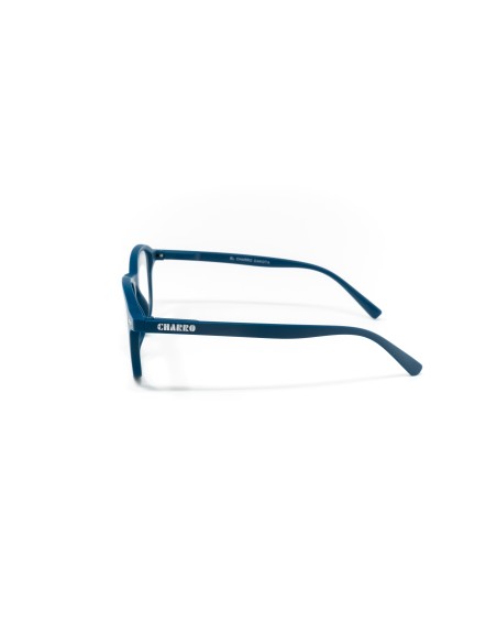 Dakota - Kit of 24 Reading Glasses