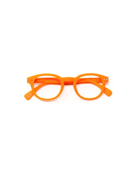 Florida - Kit of 24 Reading Glasses