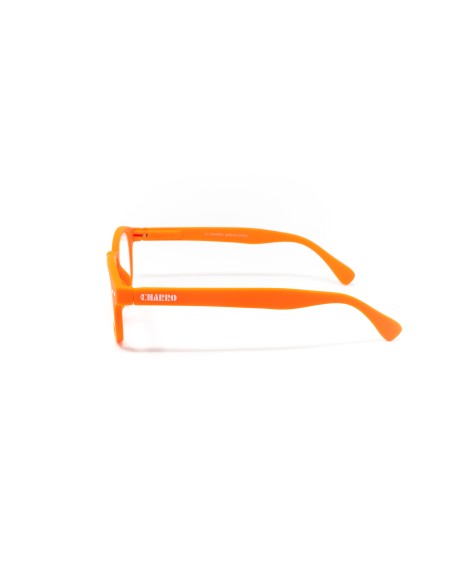 Florida - Kit of 24 Reading Glasses