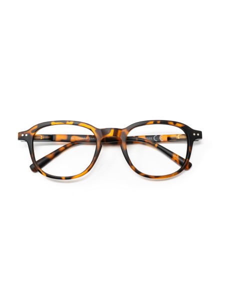 Dakota - Kit of 24 Reading Glasses