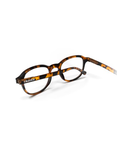 Dakota - Kit of 24 Reading Glasses