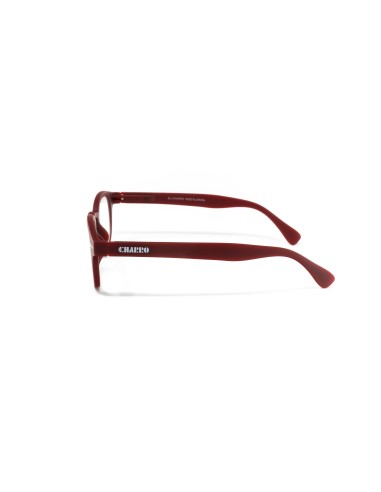 Florida - Kit of 24 Reading Glasses