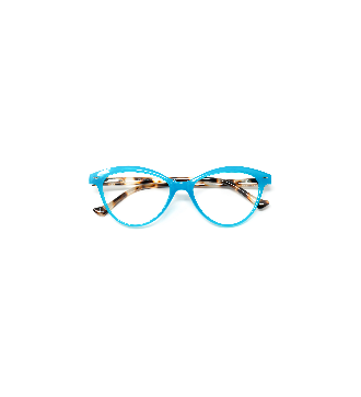 Georgia - Kit of 24 Reading Glasses 2