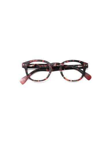 Florida - Kit of 24 Reading Glasses