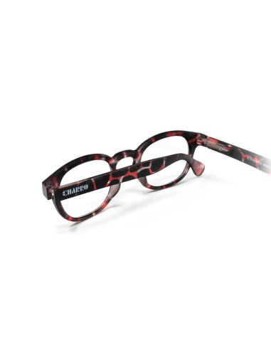 Florida - Kit of 24 Reading Glasses