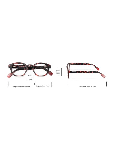 Florida - Kit of 24 Reading Glasses