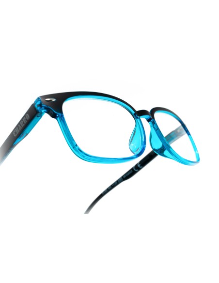 Hawaii - Kit of 24 Reading Glasses