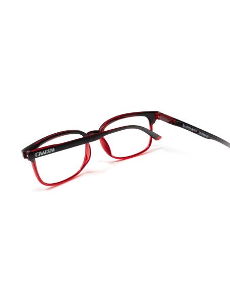 Hawaii - Kit of 24 Reading Glasses