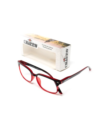 Hawaii - Kit of 24 Reading Glasses