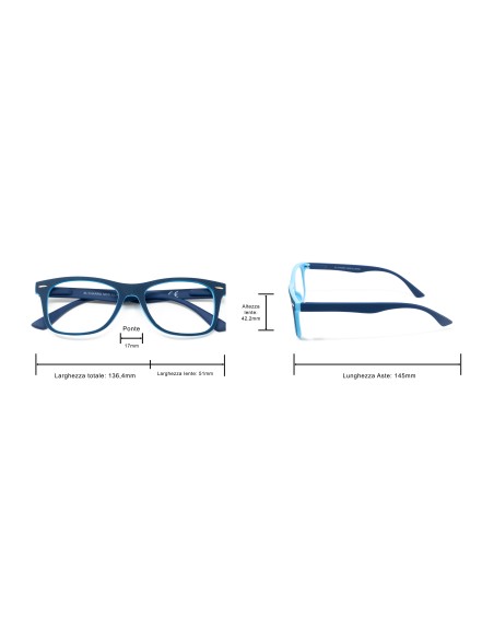 Illinois - Kit of 24 Reading Glasses