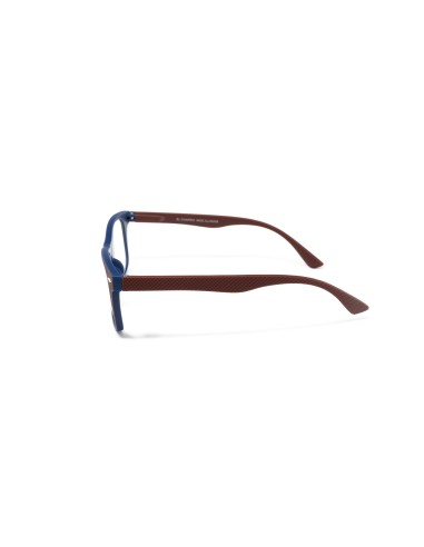 Illinois - Kit of 24 Reading Glasses