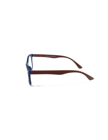 Illinois - Kit of 24 Reading Glasses