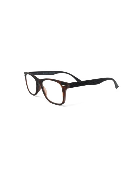 Illinois - Kit of 24 Reading Glasses