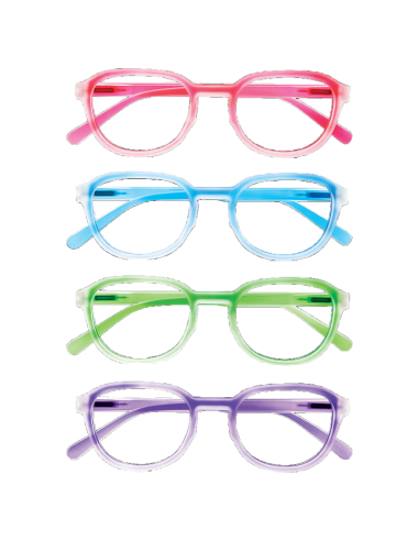 Maine - Kit of 24 Reading Glasses