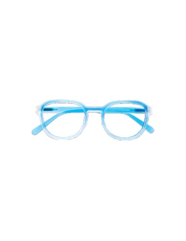 Maine - Kit of 24 Reading Glasses