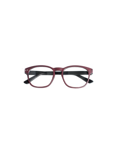 Michigan - Kit of 24 Reading Glasses