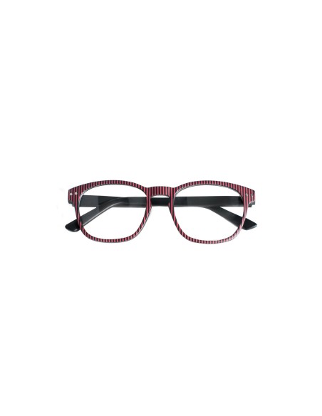 Michigan - Kit of 24 Reading Glasses