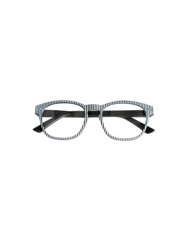 Michigan - Kit of 24 Reading Glasses