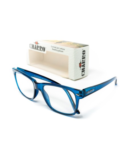 Minnesota - Kit of 24 Reading Glasses