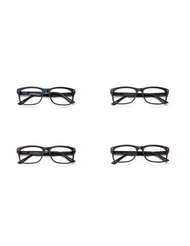 Montana - Kit of 24 Reading Glasses