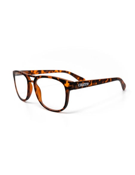 Kentucky - Kit of 24 Reading Glasses
