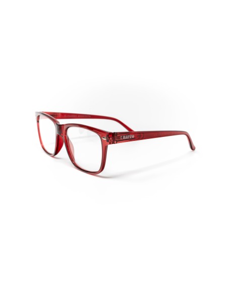 Minnesota - Kit of 24 Reading Glasses