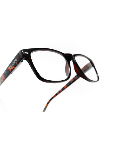 Minnesota - Kit of 24 Reading Glasses