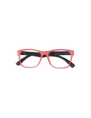 Nevada - Kit of 24 Reading Glasses