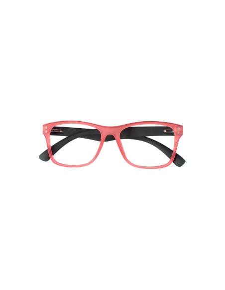 Nevada - Kit of 24 Reading Glasses