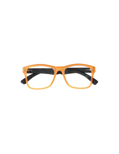 Nevada - Kit of 24 Reading Glasses