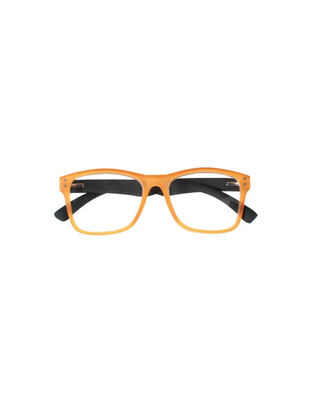 Nevada - Kit of 24 Reading Glasses