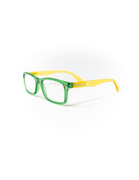 Nebraska - Kit of 24 Reading Glasses