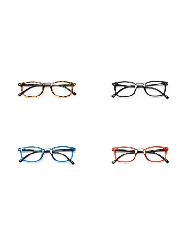 Ohio - Kit of 24 Reading Glasses