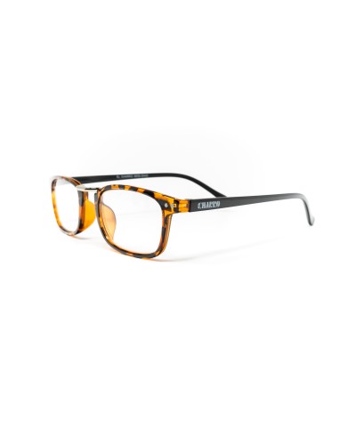 Ohio - Kit of 24 Reading Glasses