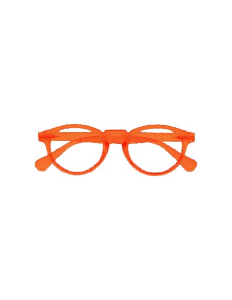 Oregon - Kit of 24 Reading Glasses