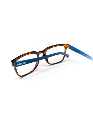Maryland - Kit of 24 Reading Glasses