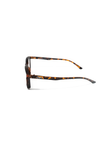 Clip-On - Reading Glasses