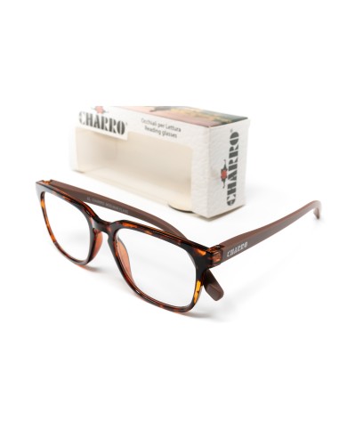 Maryland - Kit of 24 Reading Glasses