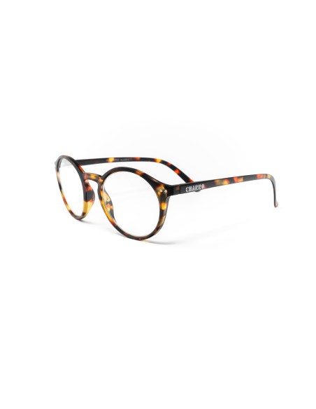 Alaska - Kit of 24 Reading Glasses
