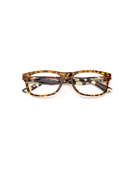 California - Kit of 24 Reading Glasses