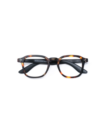 Modena - Kit of 24 Reading Glasses