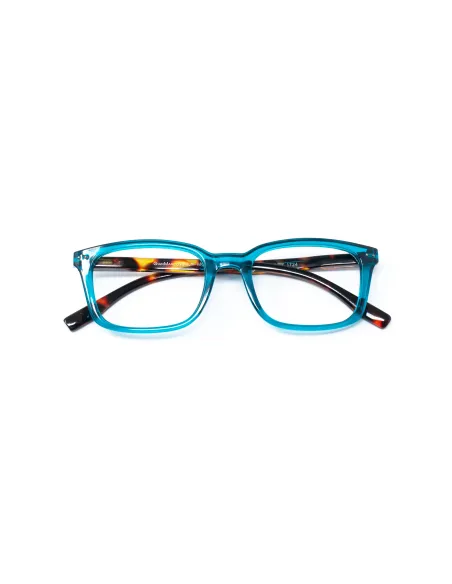 Savona - Kit of 24 Reading Glasses