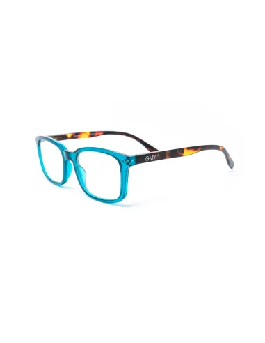 Savona - Kit of 24 Reading Glasses