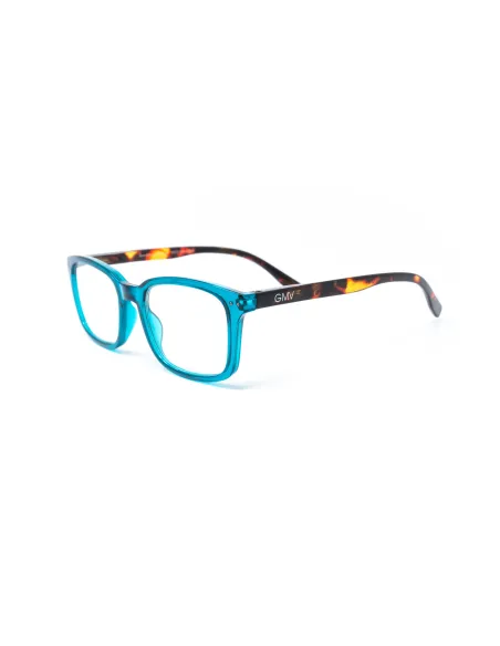 Savona - Kit of 24 Reading Glasses