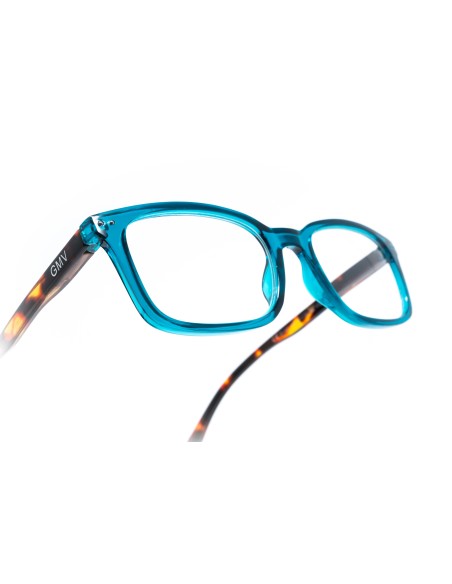 Savona - Kit of 24 Reading Glasses