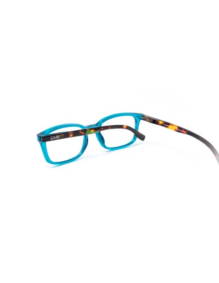 Savona - Kit of 24 Reading Glasses