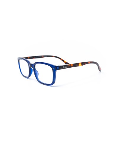 Savona - Kit of 24 Reading Glasses